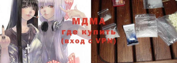 индика Новодвинск