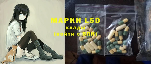 индика Новодвинск