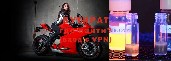 индика Новодвинск