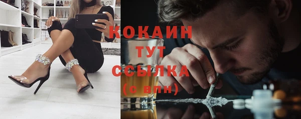 индика Новодвинск