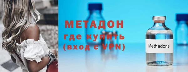 индика Новодвинск