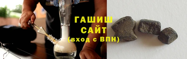 индика Новодвинск