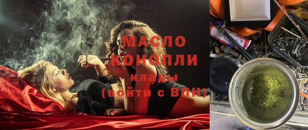 индика Новодвинск