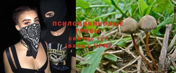 ешки Новозыбков