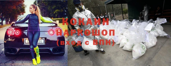 ешки Новозыбков