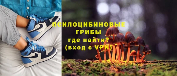 молекула духа Россошь