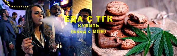 индика Новодвинск