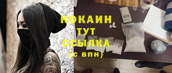 ешки Новозыбков