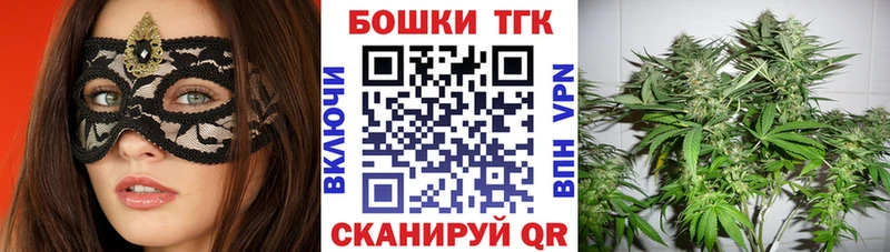 купить наркотики цена  Сорск  Конопля сатива 
